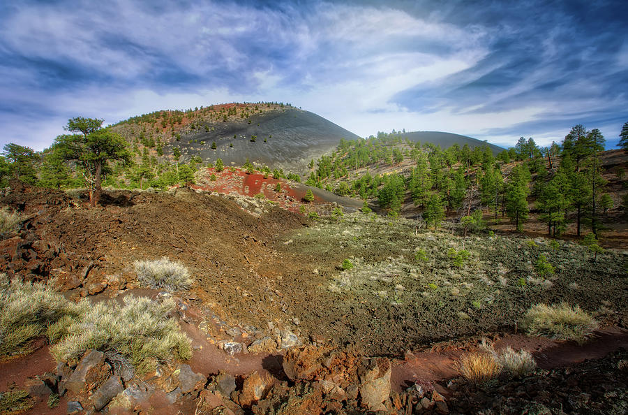 Sunset Crater Volcano #4- Arizona  Photograph by Jennifer Rondinelli Reilly - Fine Art Photography