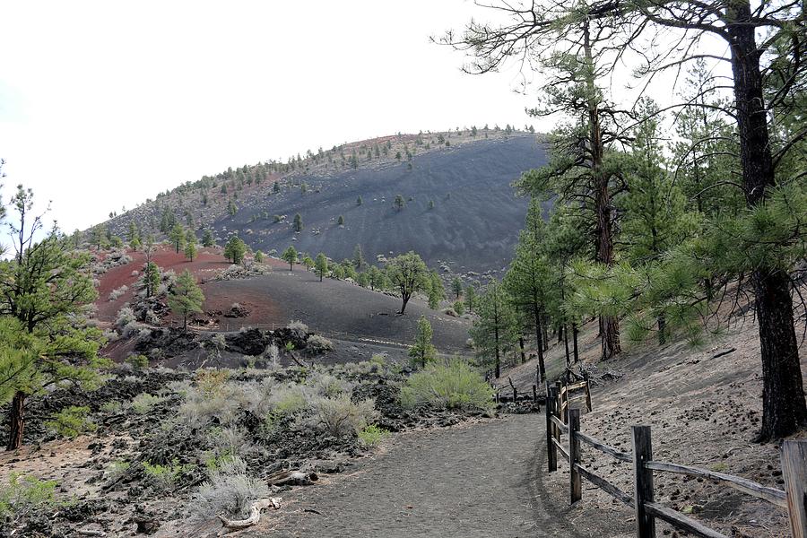 Sunset Crater Volcano National Monument - 5 Photograph by Christy Pooschke
