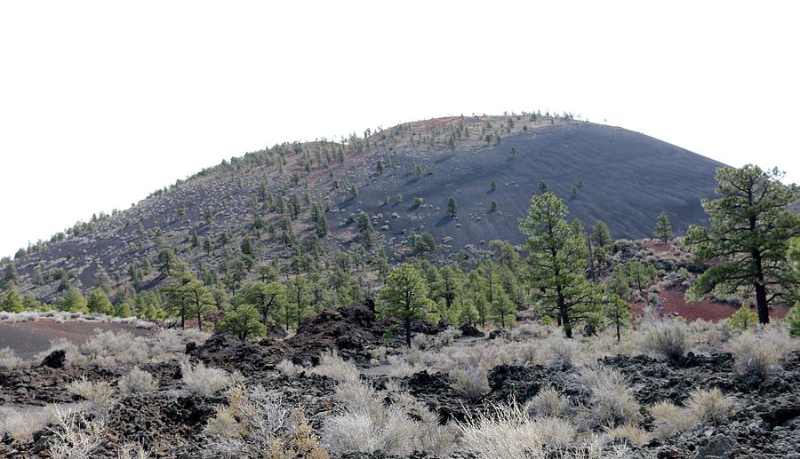 Sunset Crater Volcano National Monument - 8 Photograph by Christy Pooschke