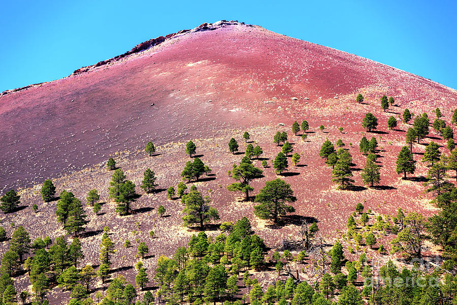  Sunset Crater  Volcano View Photograph by John Rizzuto