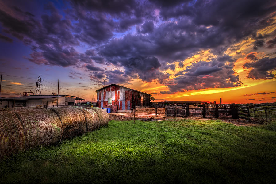 Sunset Dairy Photograph by Marvin Spates