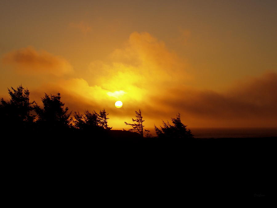 Sunset Photograph by Deborah  Crew-Johnson