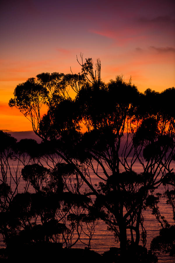 Sunset Delmar /Torrey pines San Diego California Photograph by Bruce Pritchett