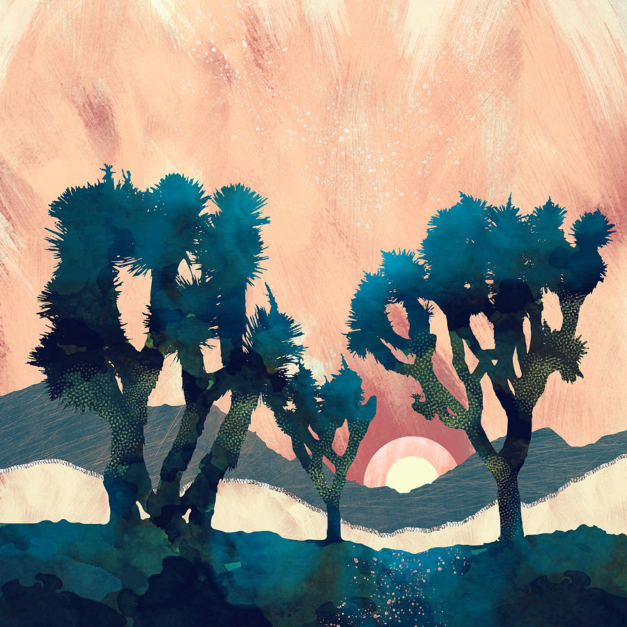 Sunset Digital Art - Sunset Desert Canyon by Spacefrog Designs