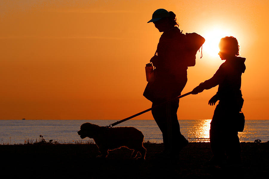 Sunset Dog Walk Photograph by Lawrence Boothby