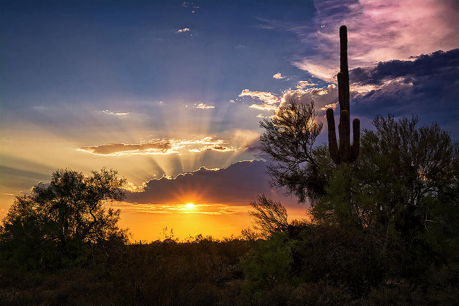 Sunset Photograph - Sunset Done Arizona Style  by Saija Lehtonen