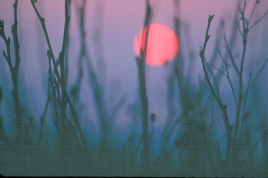 Sunset Photograph by Douglas Pike
