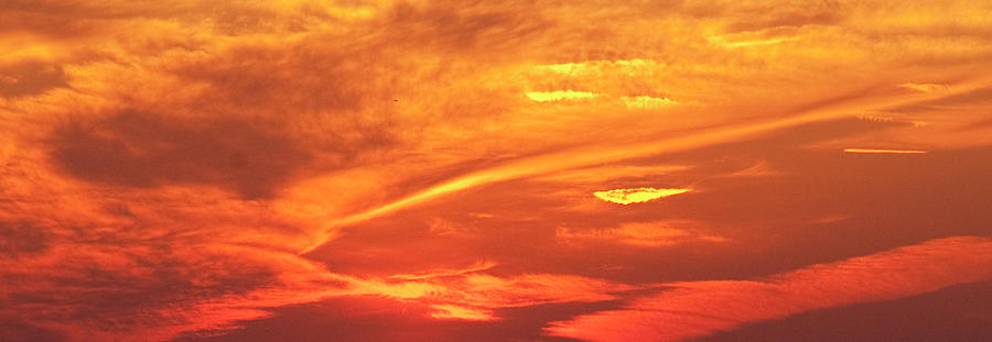 Sunset Dragons Head Photograph by Steven Natanson
