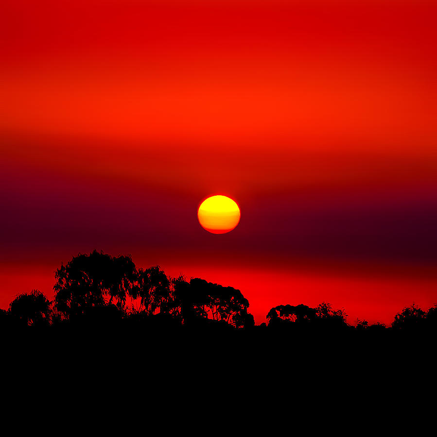 Sunset Photograph - Sunset Dreaming by Az Jackson