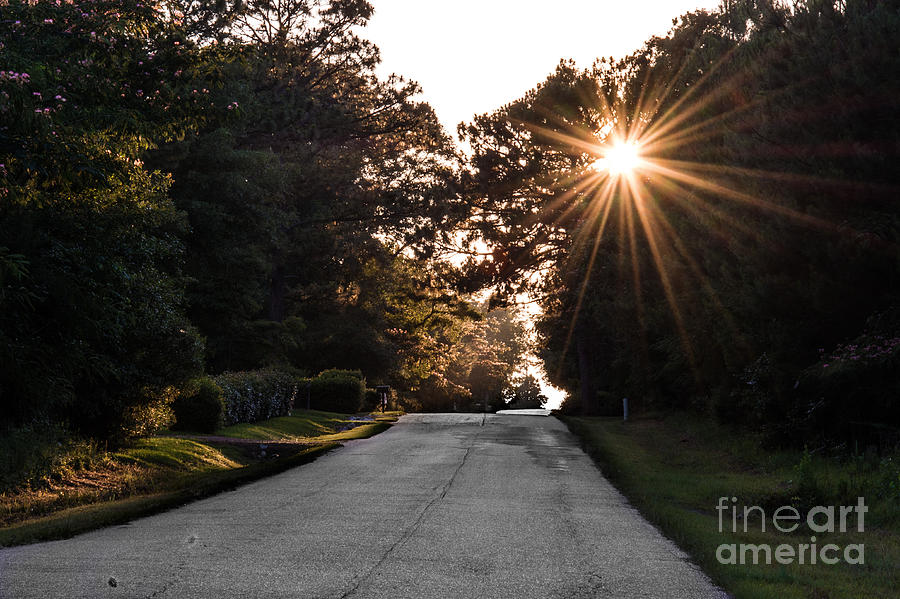 Sunset Drive Photograph by Metaphor Photo