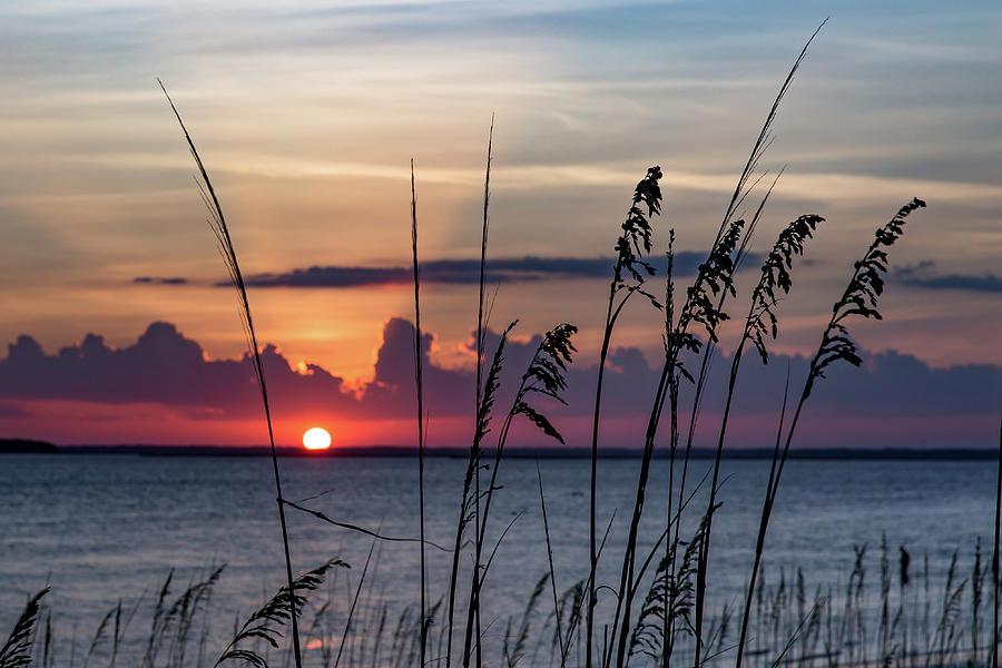 Sunset Photograph - Sunset Dune Grass by John Bradley Leonard