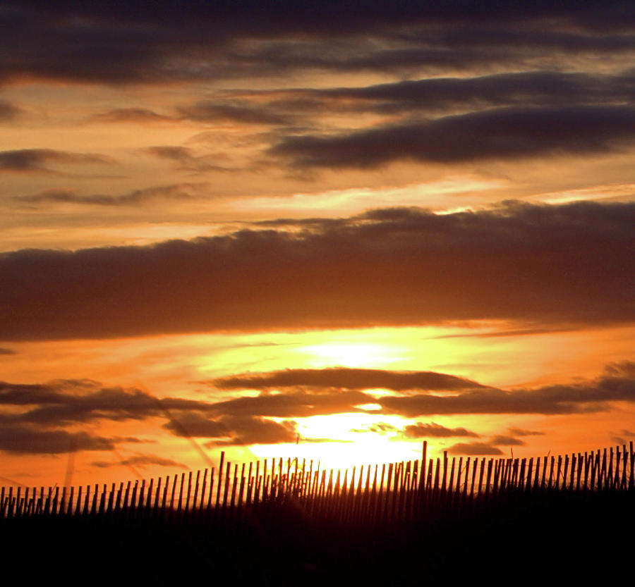 Sunset Dunes I I Photograph by Newwwman