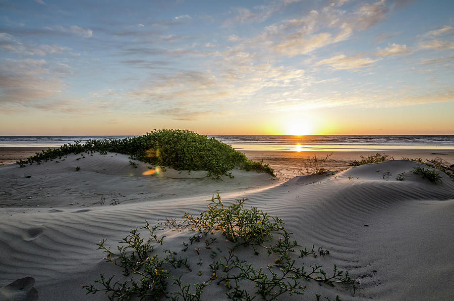 Sunset Dunes Photograph by Margaret Pitcher