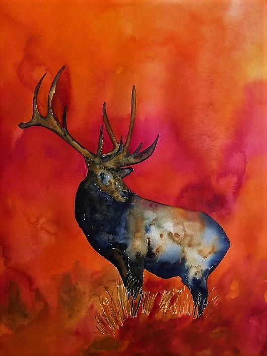 Sunset Elk Painting by Peter Freischlag