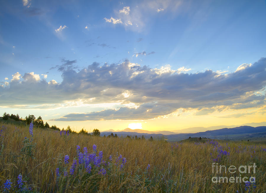 Sunset Photograph - Sunset Explosion by Idaho Scenic Images Linda Lantzy