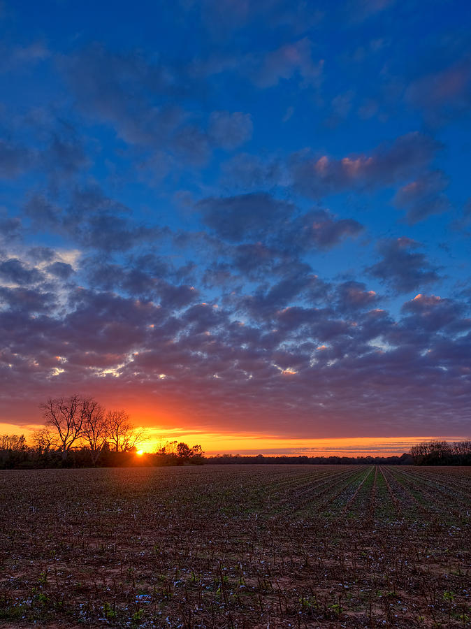 Sunset Field Photograph by Brad Boland