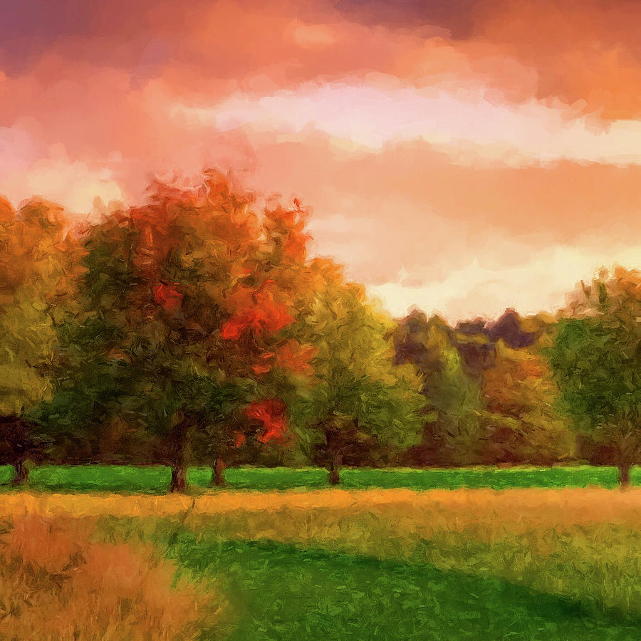 Sunset Field Digital Art by Gary Grayson