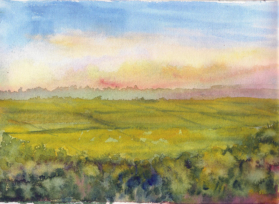 Sunset fields Painting by Asha Sudhaker Shenoy