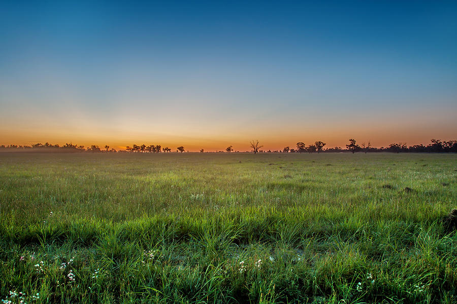 Sunset Photograph - Sunset Fields by Az Jackson