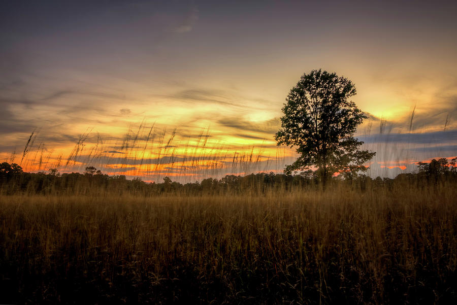 Sunset Fields Photograph by Ryan Wyckoff