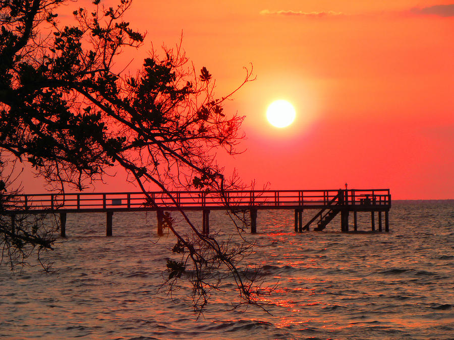 Sunset Fishing Pier Photograph by Rosalie Scanlon