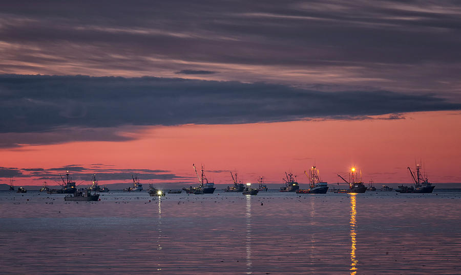 Sunset Fleet Photograph