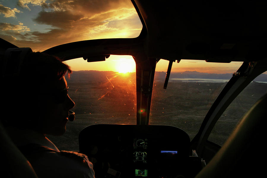 Sunset Flight Photograph by Arthur Dodd