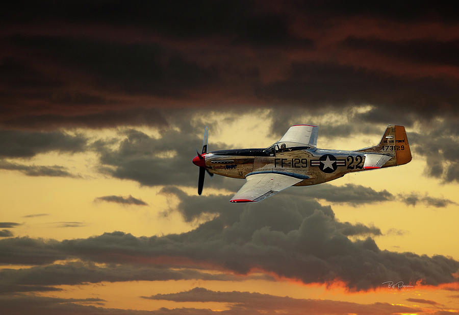 Sunset Flight Photograph by Bill Posner