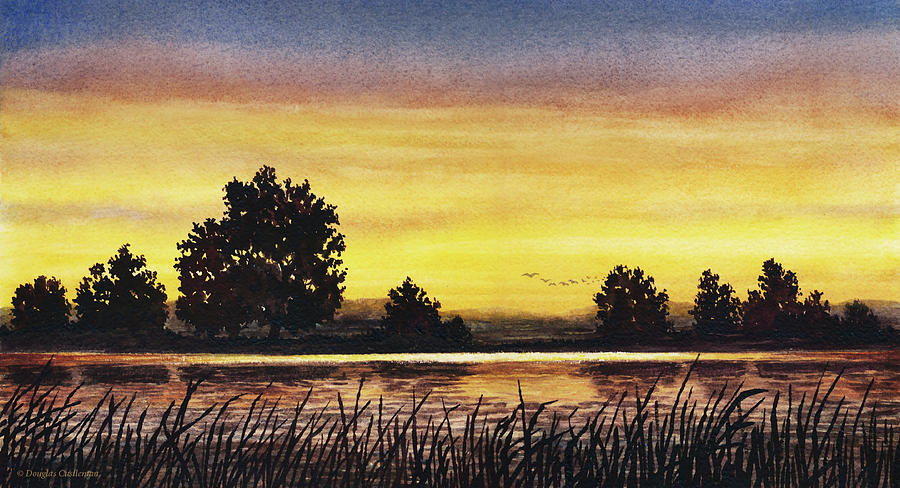 Sunset Flight Painting by Douglas Castleman