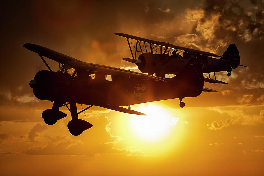 Sunset Flight Photograph by Jay Beckman
