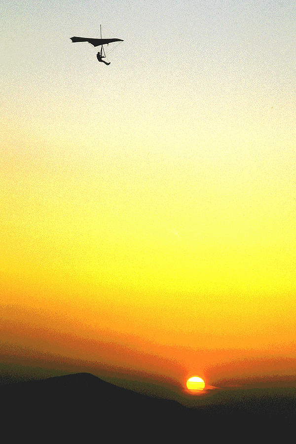 Sunset Flight Photograph by Neil Pankler