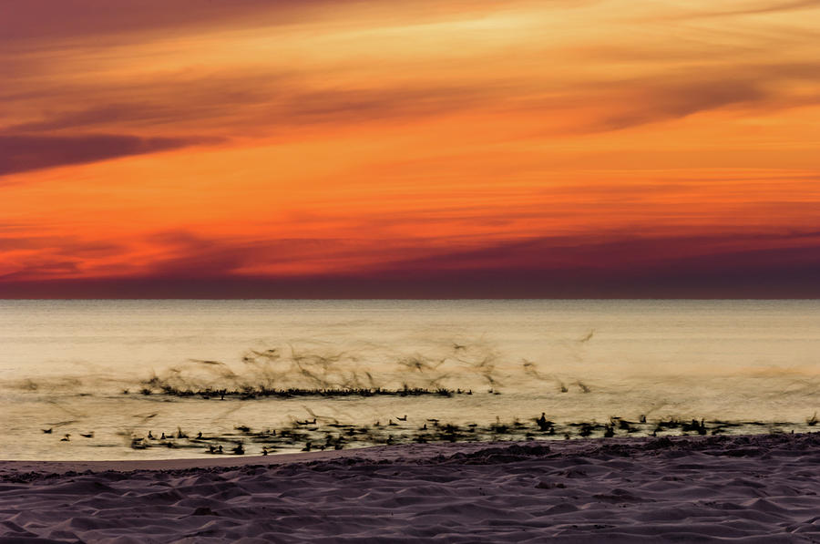 Sunset Flock Photograph by Kurt Lischka