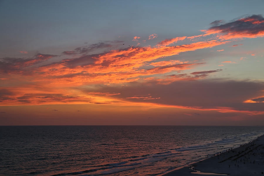 Sunset Florida Gulf Photograph by Theresa Campbell - Fine Art America