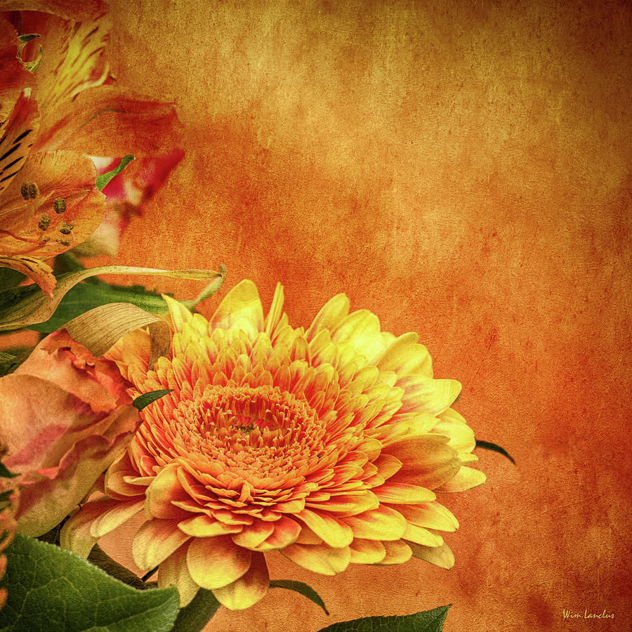 Flower Photograph - Sunset Flowers by Wim Lanclus