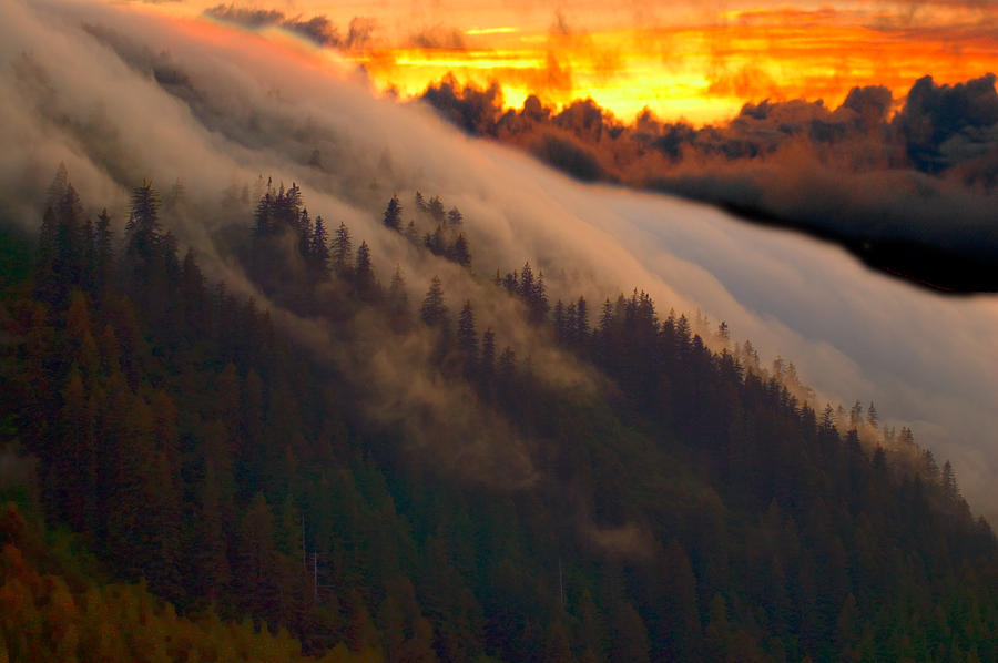 Sunset Fog Photograph by Harry Spitz