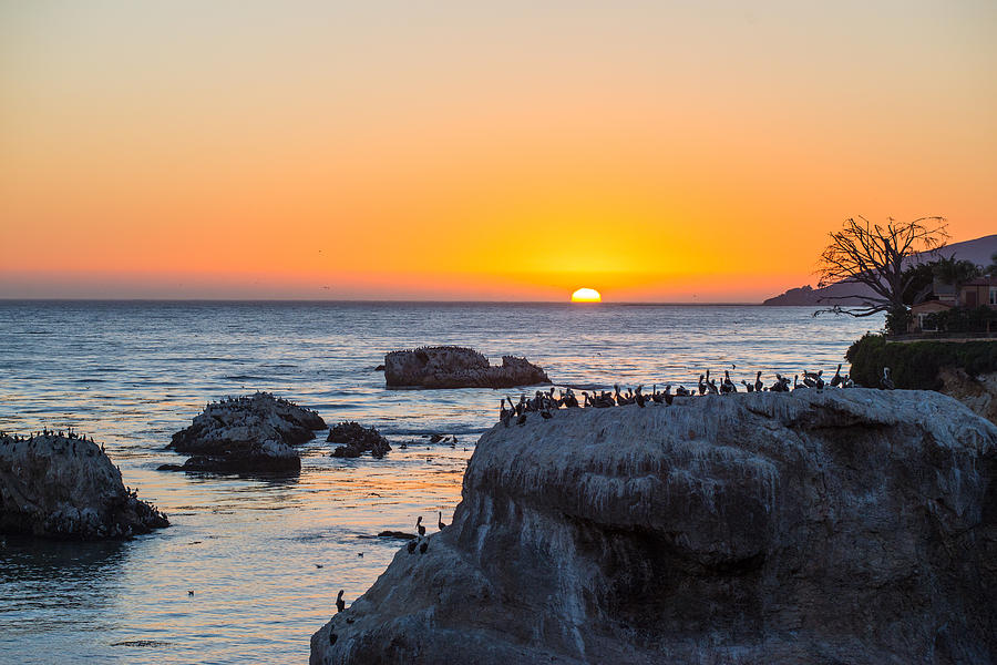 Sunset for the Birds - Pismo Beach - California Photograph by Bruce Friedman