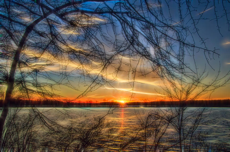 Sunset Framed by Branches Photograph by Beth Venner