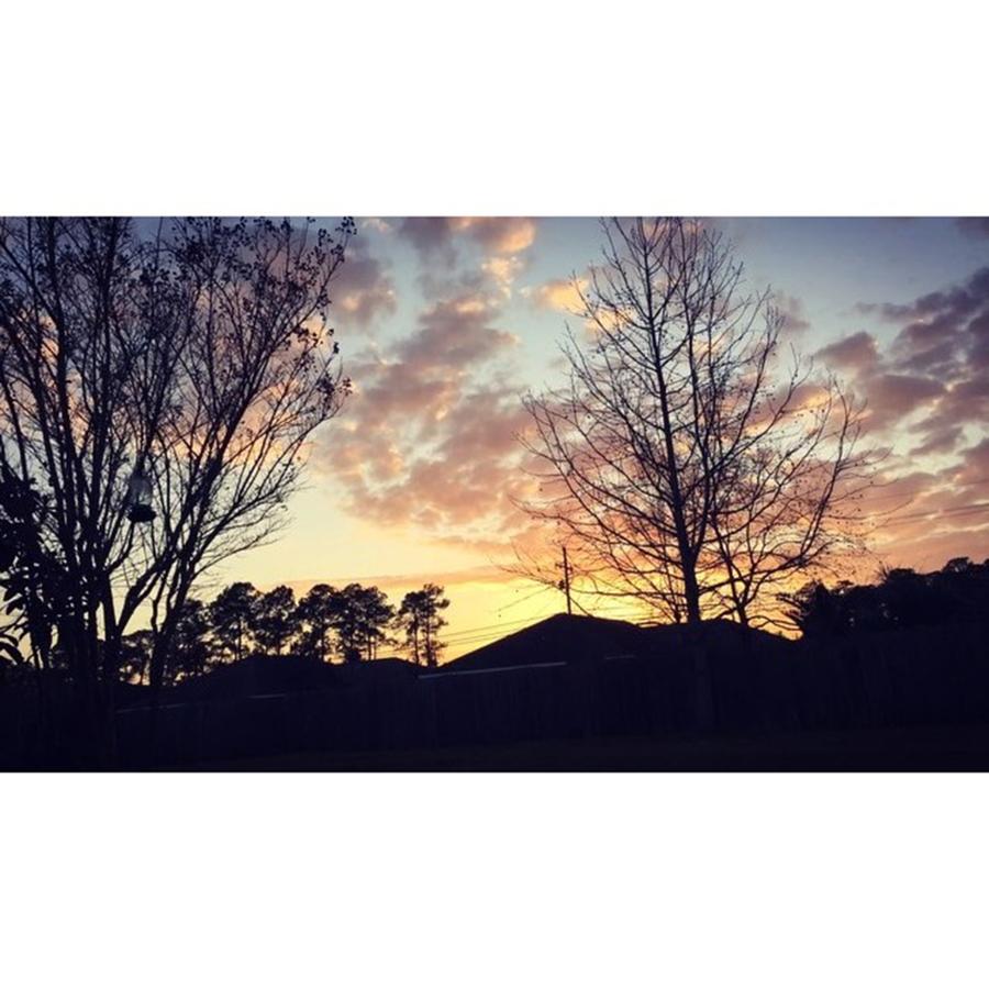 Video Photograph - Sunset From My Backyard #timelapse by Joan McCool