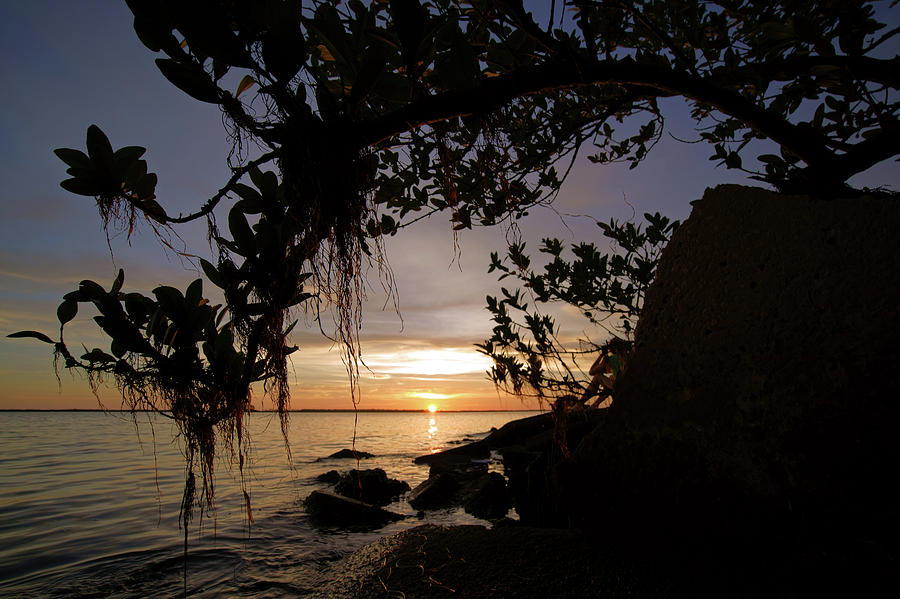 Sunset from the Mangroves Photograph by Daniel Woodrum