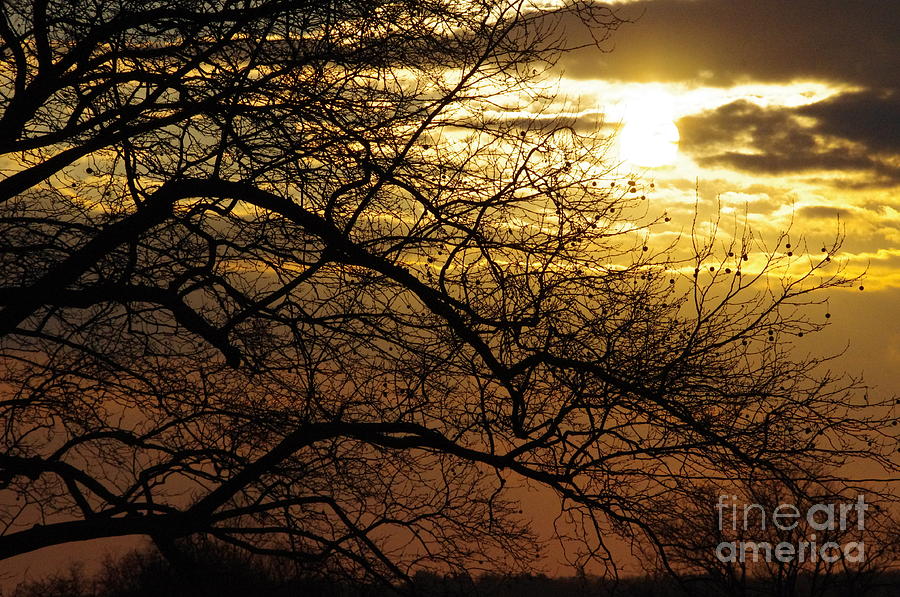 Sunset Photograph by Gerald Kloss