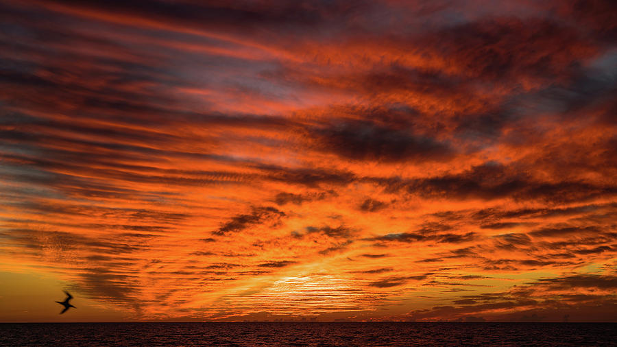 Sunset Glow Venice Florida Photograph by Lawrence S Richardson Jr