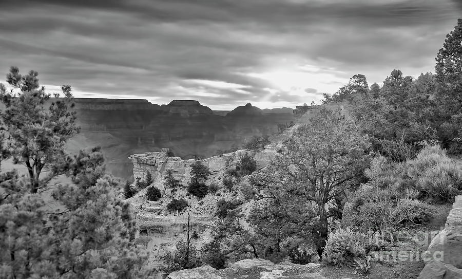 Sunset Grand Canyon Black White  Photograph by Chuck Kuhn