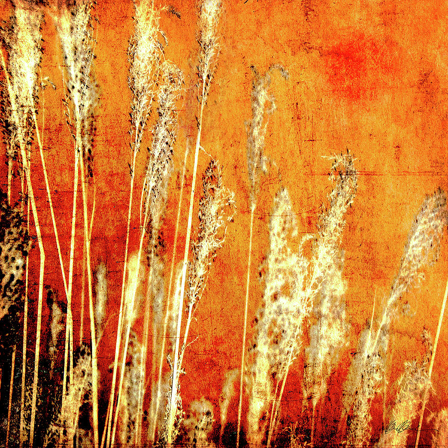 Sunset Grasses Digital Art