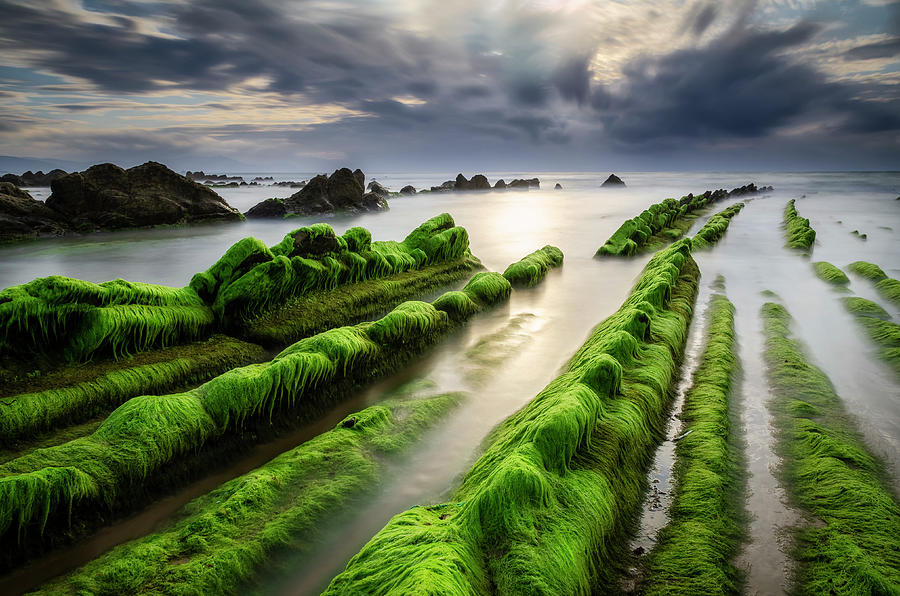Sunset Photograph - Sunset Green by Jose maria Luis marquez