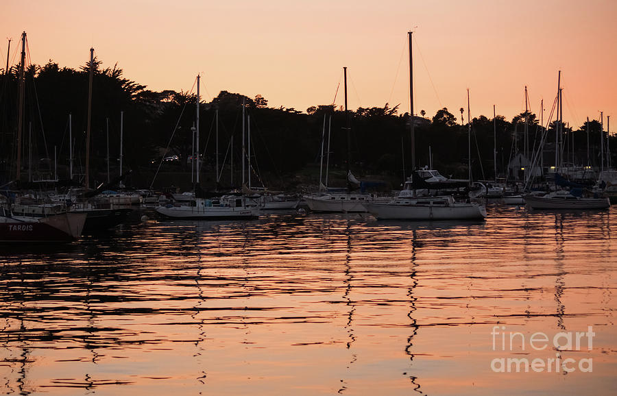 Sunset Harbor Photograph by Suzanne Luft