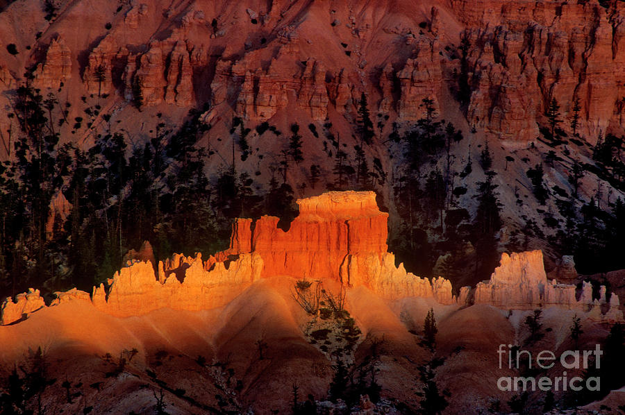 Sunset Highlights The Hoodoos Bryce Canyon National Park Utah Photograph by Dave Welling