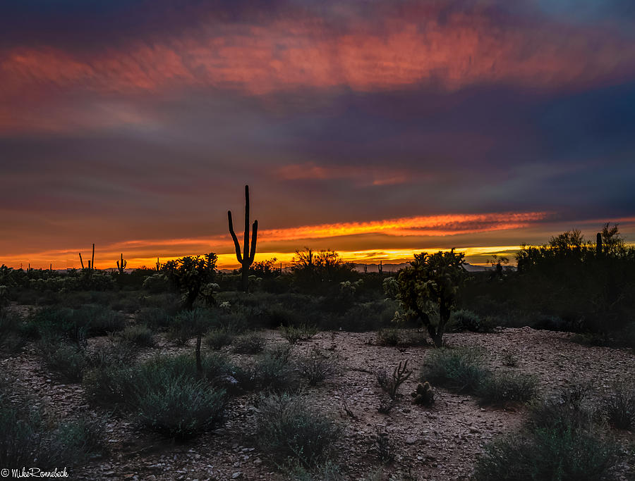 Sunset in Arizona Photograph by Mike Ronnebeck