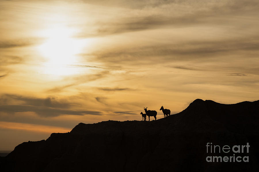 Sunset in Badlands Photograph by Natural Focal Point Photography