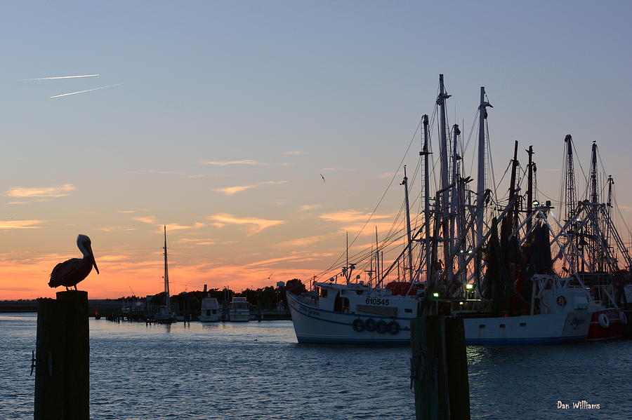 Sunset in Beaufort Photograph by Dan Williams