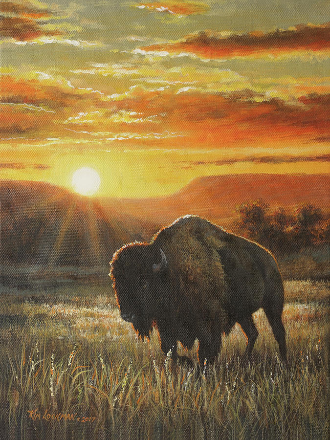 Buffalo Painting - Sunset In Bison Country by Kim Lockman